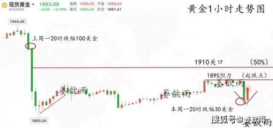 老美大选最新消息，走向与影响深度解析